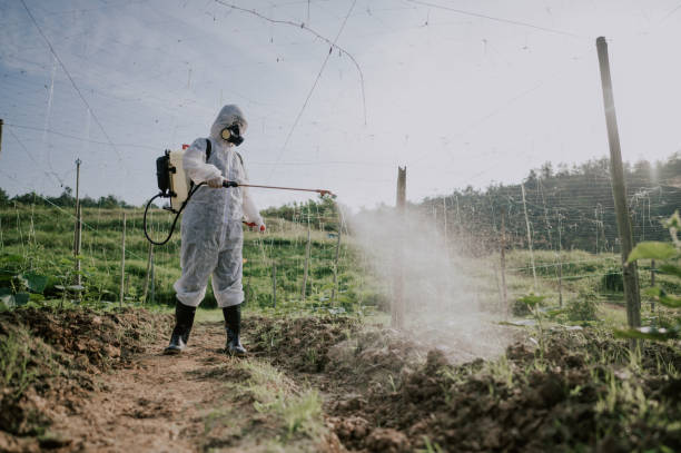 Best Pest Prevention Services  in Tuolumne City, CA