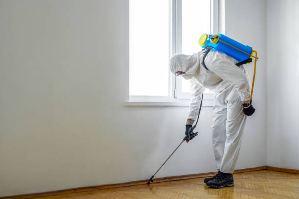 Best Pest Control Near Me  in Tuolumne City, CA