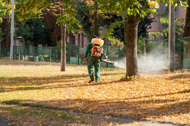 Best Best Pest Control Companies  in Tuolumne City, CA