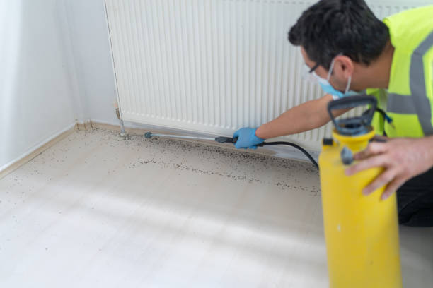 Best Wasp Removal Services  in Tuolumne City, CA
